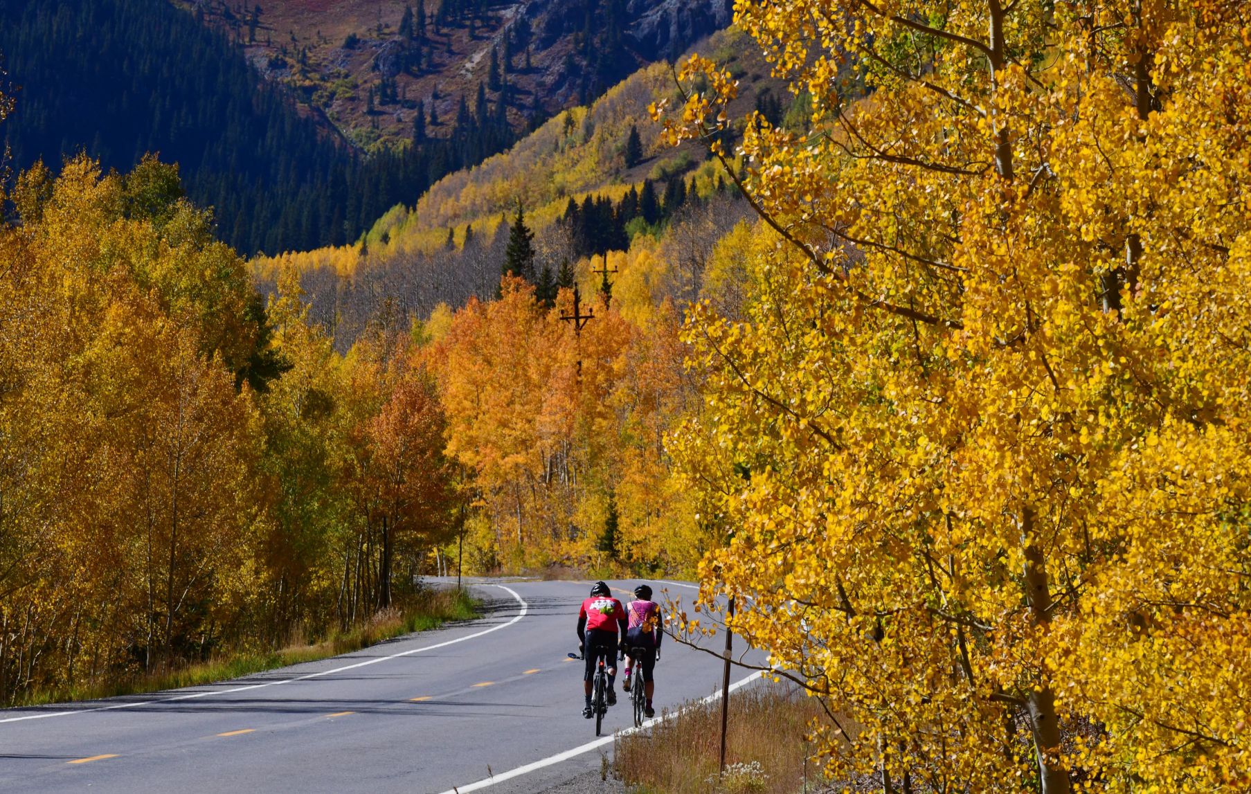 100619-news-aspens 57.JPG